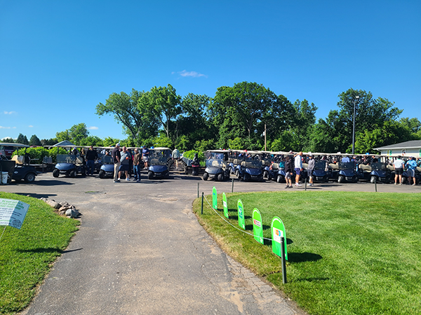 Group of Golf Carts